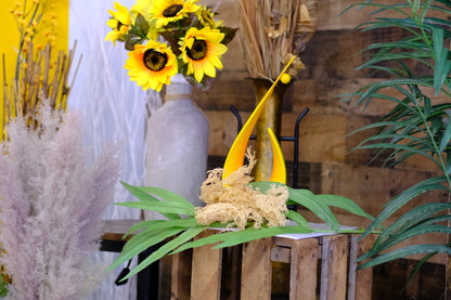 Healing While Living Giftcard